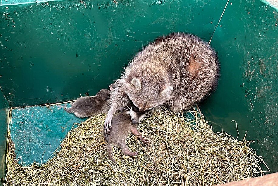 Фото: Александра Тимощенко