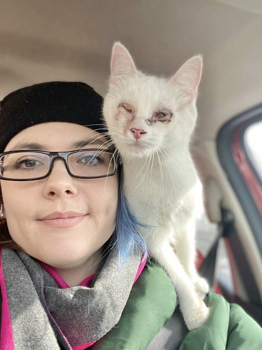 Волонтер Фонда защиты городских животных и Венеция 