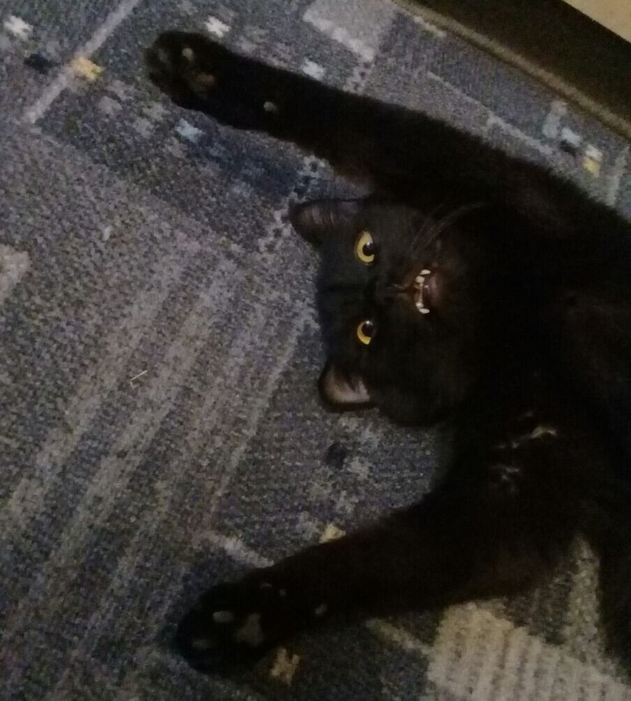 Симулянт Жора