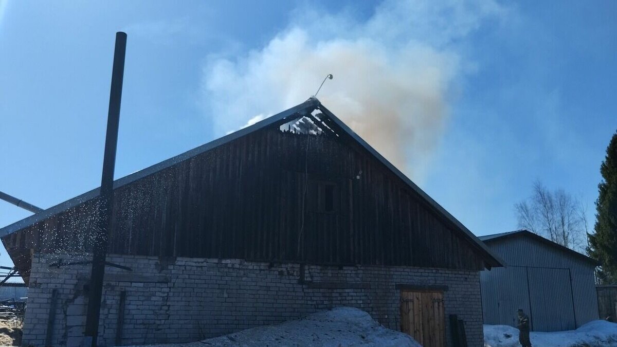     В Олонецком районе сгорела пилорама, о чем сообщают в районном ОПС.