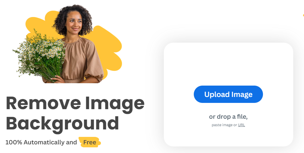 Убрать фон remove bg ai. Bg remover. remove bg нейросеть.