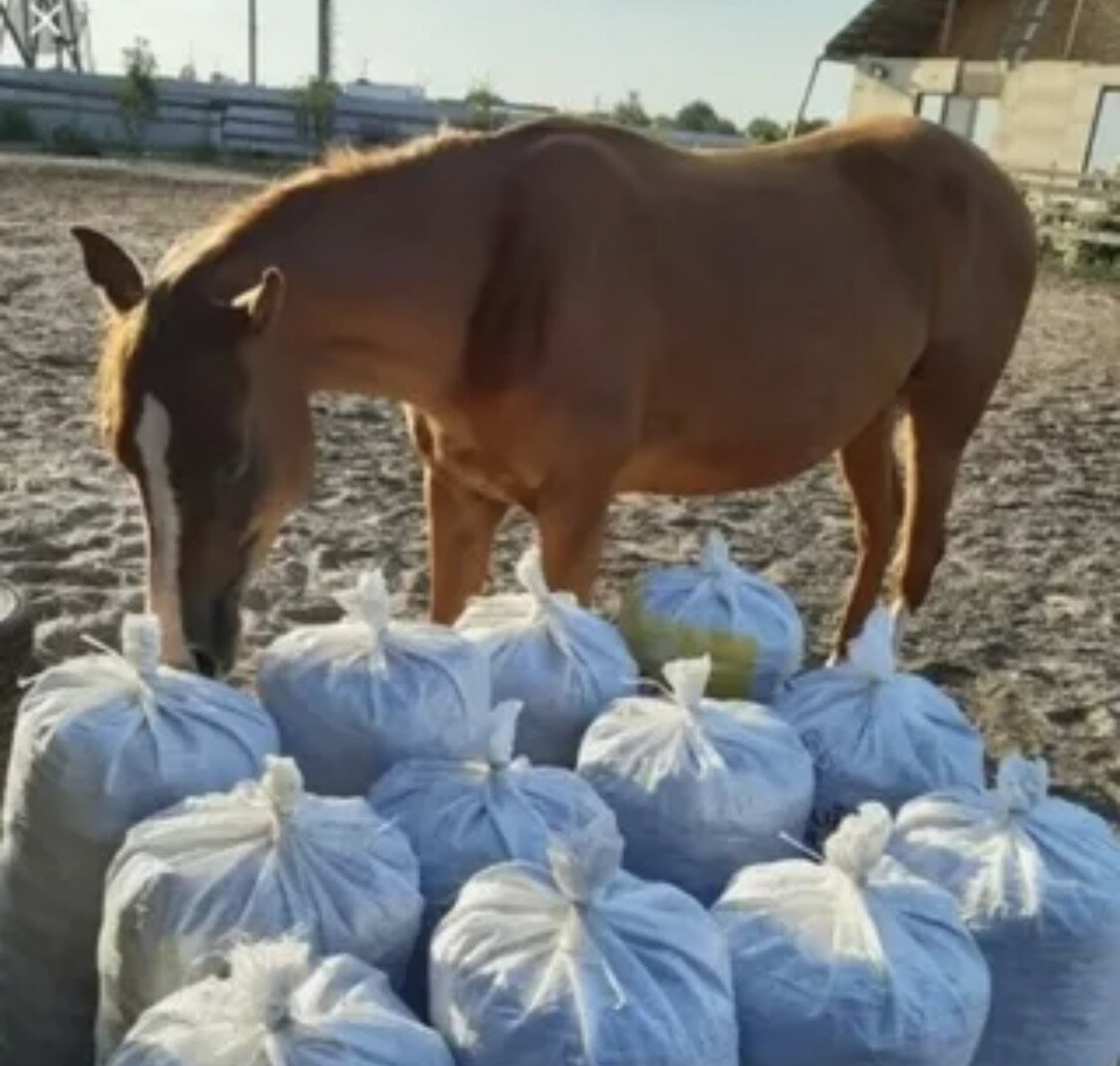 Конское удобрение можно купить на любой конюшне за символьческую цену, я брала мешками 😂