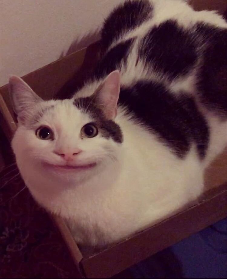 Это ты - когда узнал, как можно креативно оформить свой Dashboards.