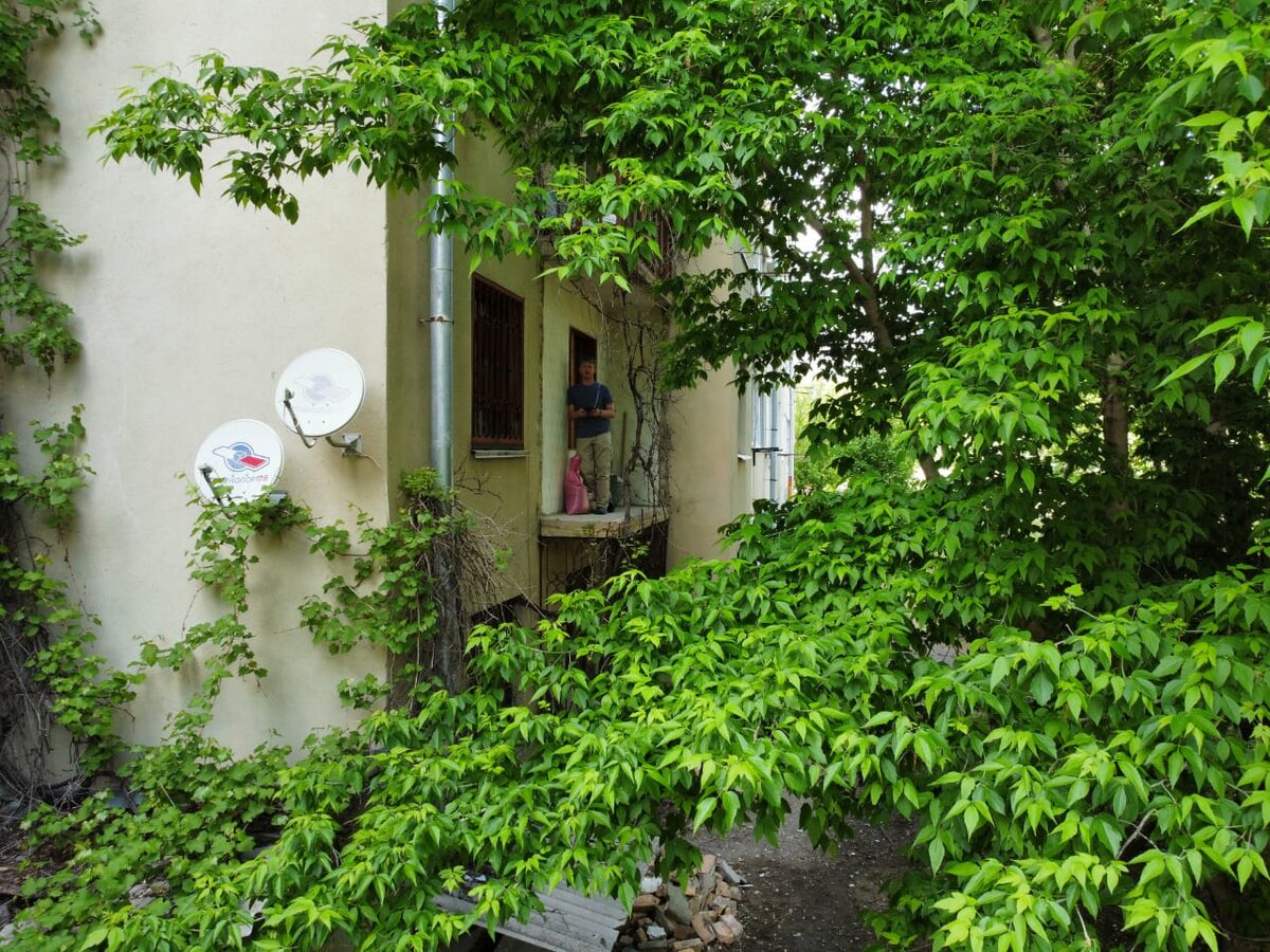 Выход в крону ясеня 😆 Кисловодск - такой Кисловодск. Слева достроили легкую Г-образную стенку из пеноблоков: она будет скрывать встроенный шкаф. Для шкафа места в самой комнате нет.