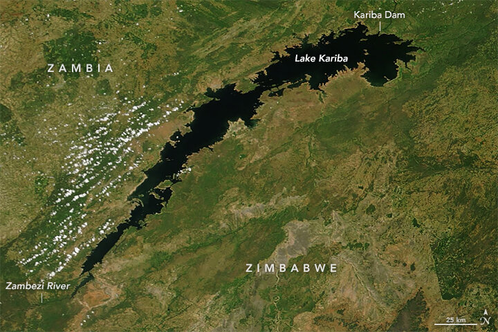 © NASA / earthobservatory.nasa.gov