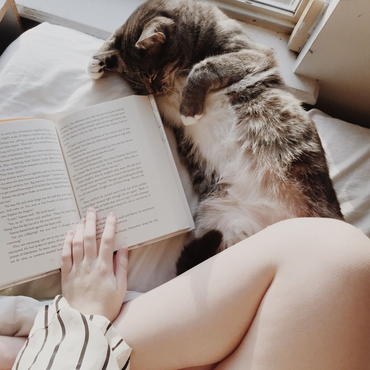 Девушка в постели с книжкой