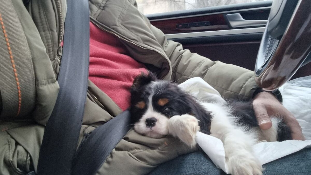  Я свернулась калачиком и провалилась в сладкий сон