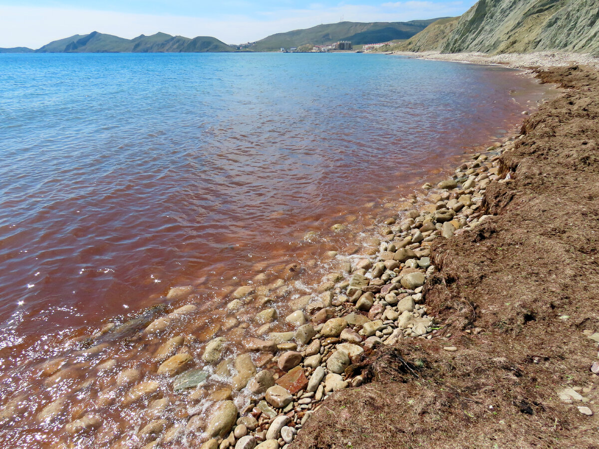 Я сделал длинную прогулку по обрывам над морем и лег в камышовое кресло