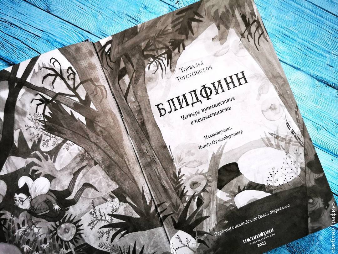 Две добрые детские книги для любителей приключений | Библио Графия | Дзен