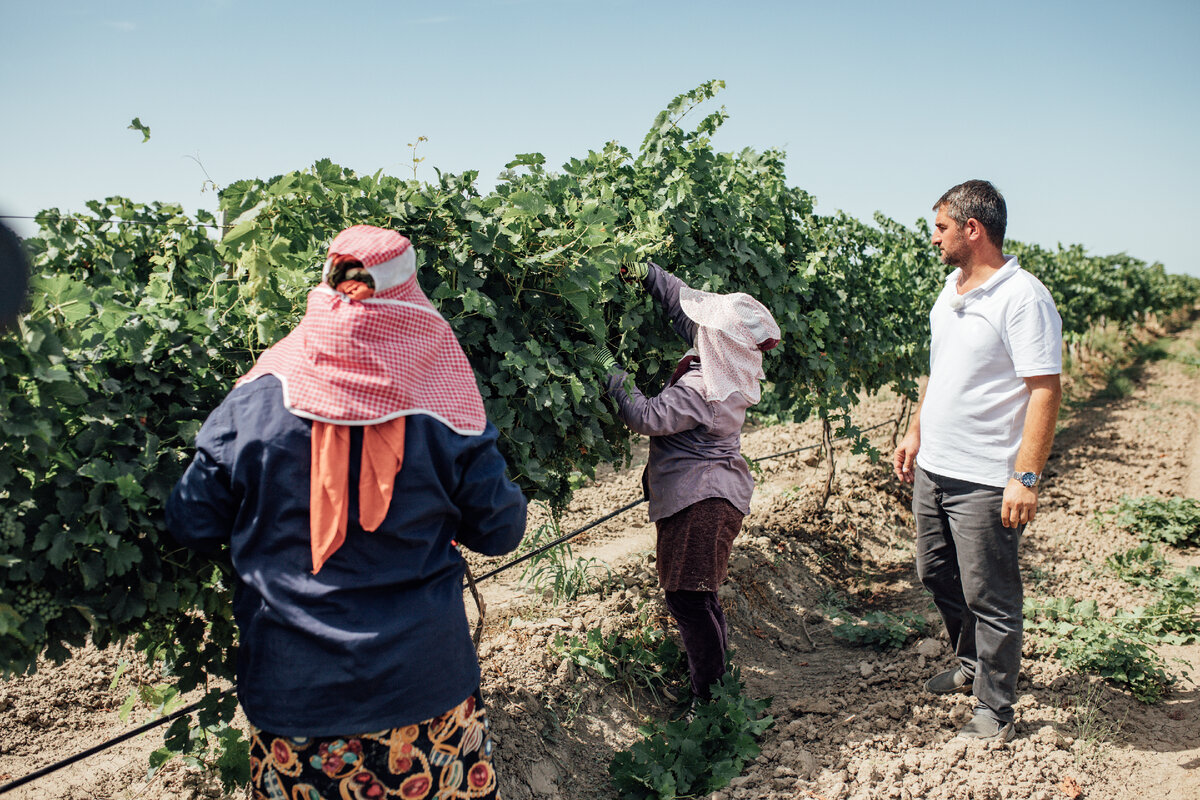 Генеральный директор нашей дочерней компании "Дербент Агро" - Таджибов Заур