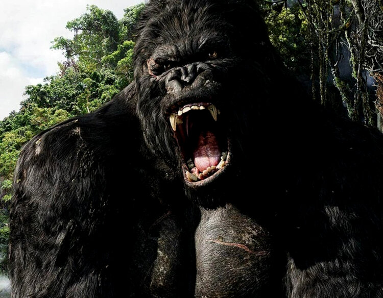 Конг - огромный монстр, размером со здание