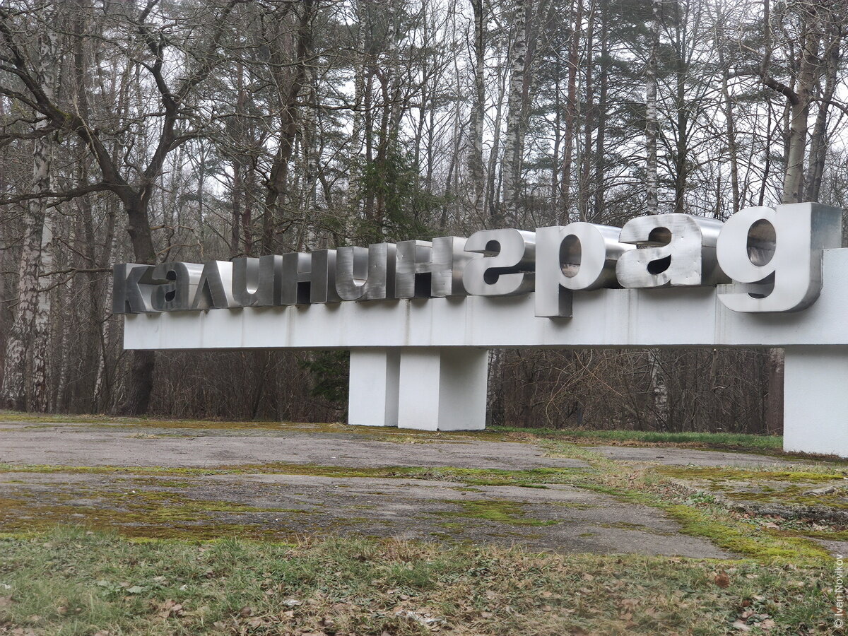 Стелла "Калининград"