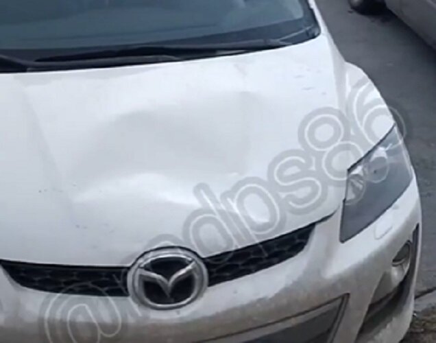    В Сургуте кошка выпала из окна многоэтажки и повредила капот автомобиля