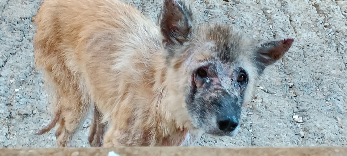 Редактировать галерею