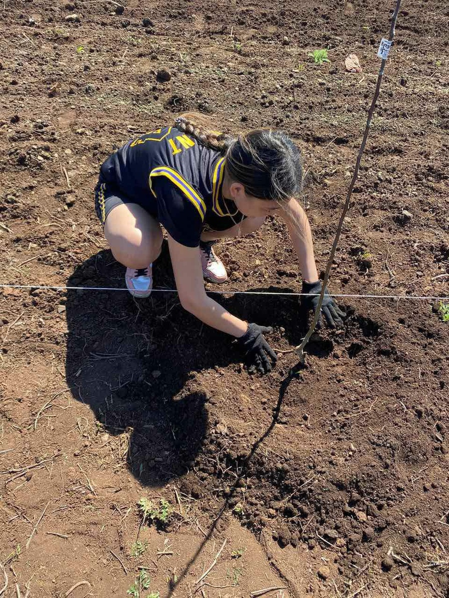  📷    Школьники Оренбургского района высадили «Сад памяти» из 200 яблонь Марина Шарт