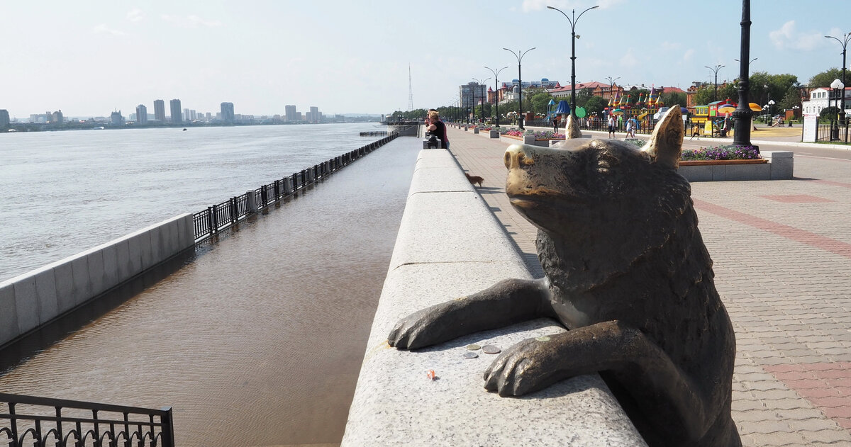 Фото: Alexander Chizhenok / shutterstock