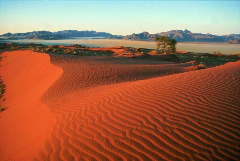 Kalahari desert. Ботсвана пустыня Калахари. Намибия пустыня Калахари. Африка пустыня Калахари. Песчаные дюны Калахари.