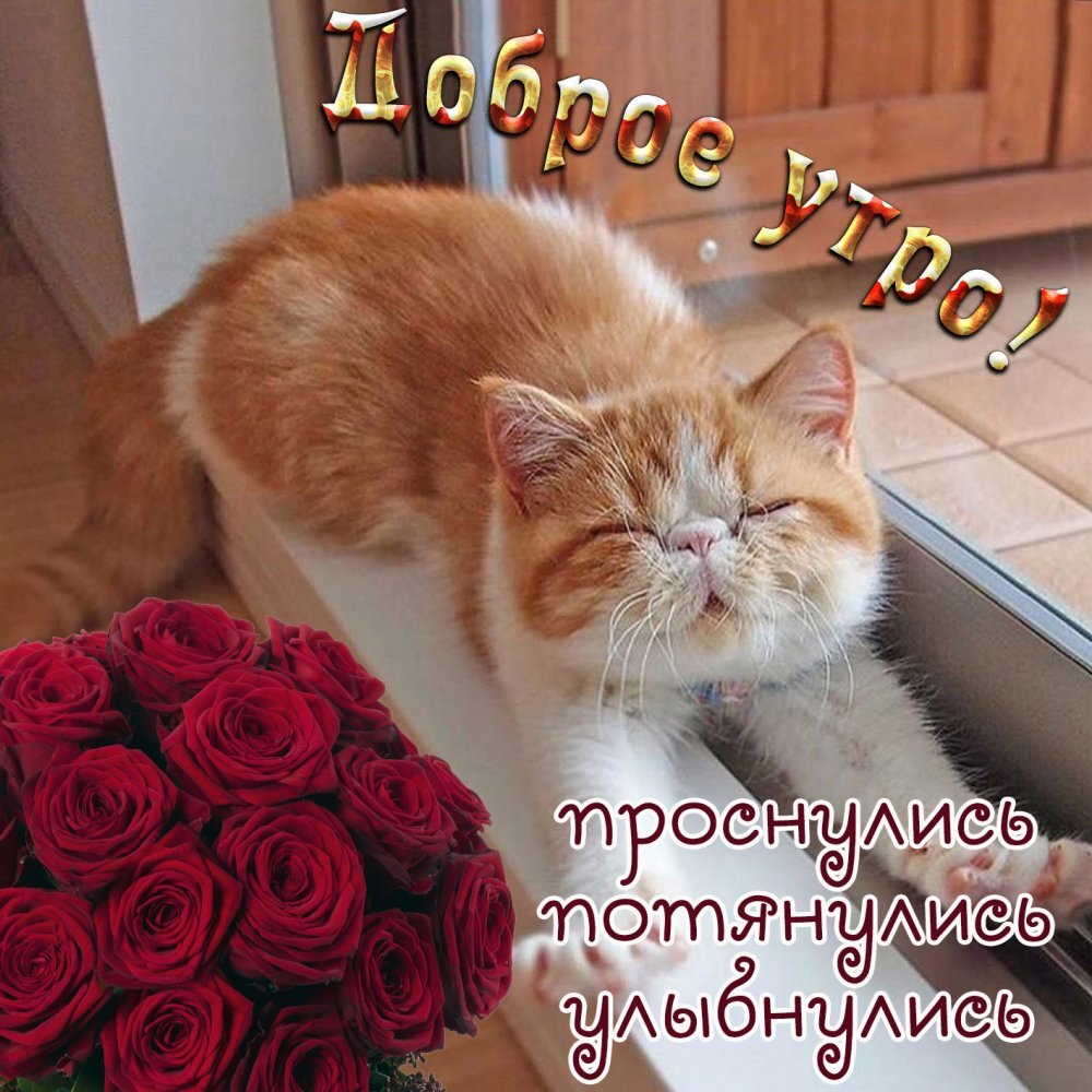 Картинка взята из интернета.