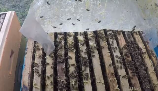 Вот так должна выглядеть сильная семья перед постановкой магазина весной