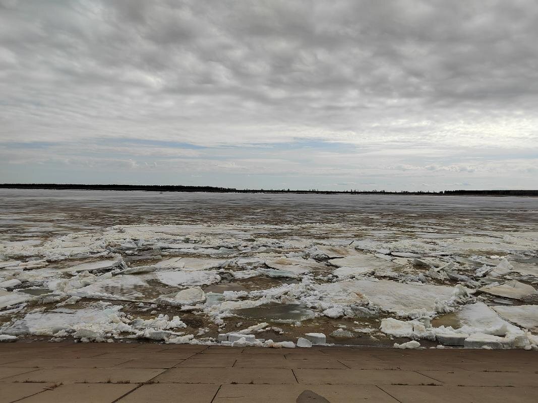    В Сургуте начинается ледоход на Оби