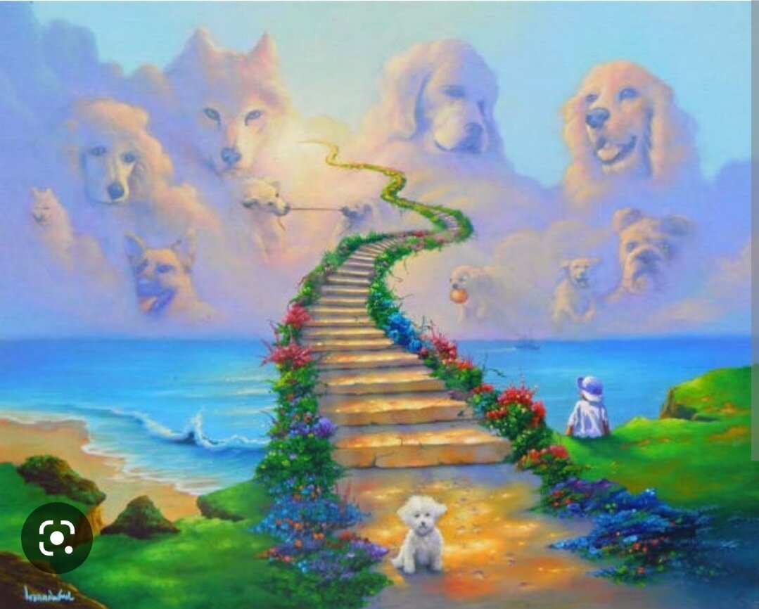 На краю небосклона есть красивое место,
Нашим бывшим питомцам там живётся чудесно.
На лужайках резвятся, нет больных и увечных,
Все они - молодые, долгожданной ждут встречи.

 