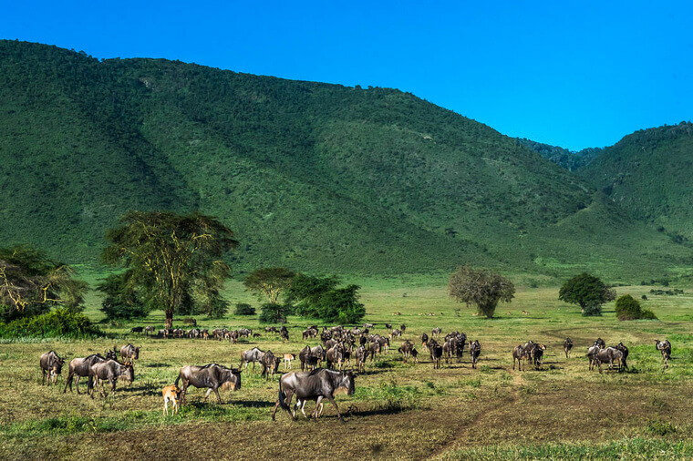 Края котловины по большей части непреодолимы для животных/ © lakemanyaranationalparks.com