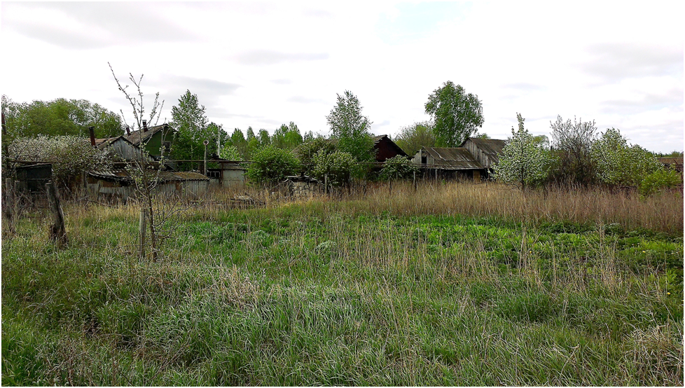 Некрасов забытая деревня стихотворение. Некрасов забытая деревня стихотворение. Некрасов николай алексеевич автограф. Стихотворение про барина. Забытая деревня некрасов.
