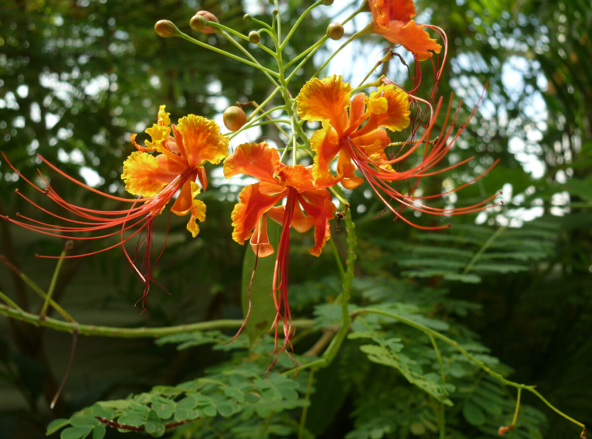 фото из личного архива 