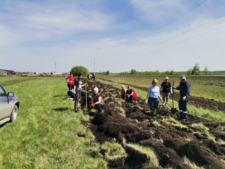    Жители села в Бугурусланском районе ко Дню Победы высадили почти 200 сосен Белов Михаил Александрович