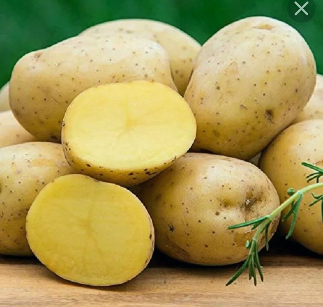 Картофель 2. Yukon Gold Potatoes. Yukon Gold Potato. Картошка потатос. Картофель сорта Yukon Gold,.