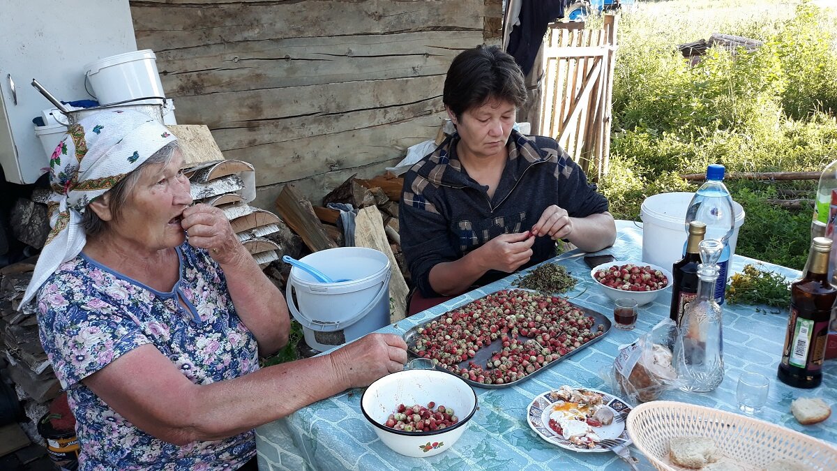    Чем можно отравиться на даче
