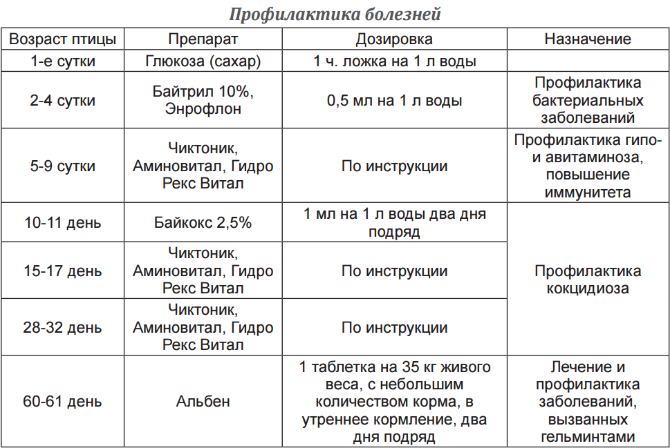 Что можно дать бройлерам от поноса. Схема пропойки бройлеров с первых дней. Схема выпойки бройлеров с первого. Схема выпойки цыплят бройлеров с первого дня. Таблица пропойки бройлеров с 1 дня.