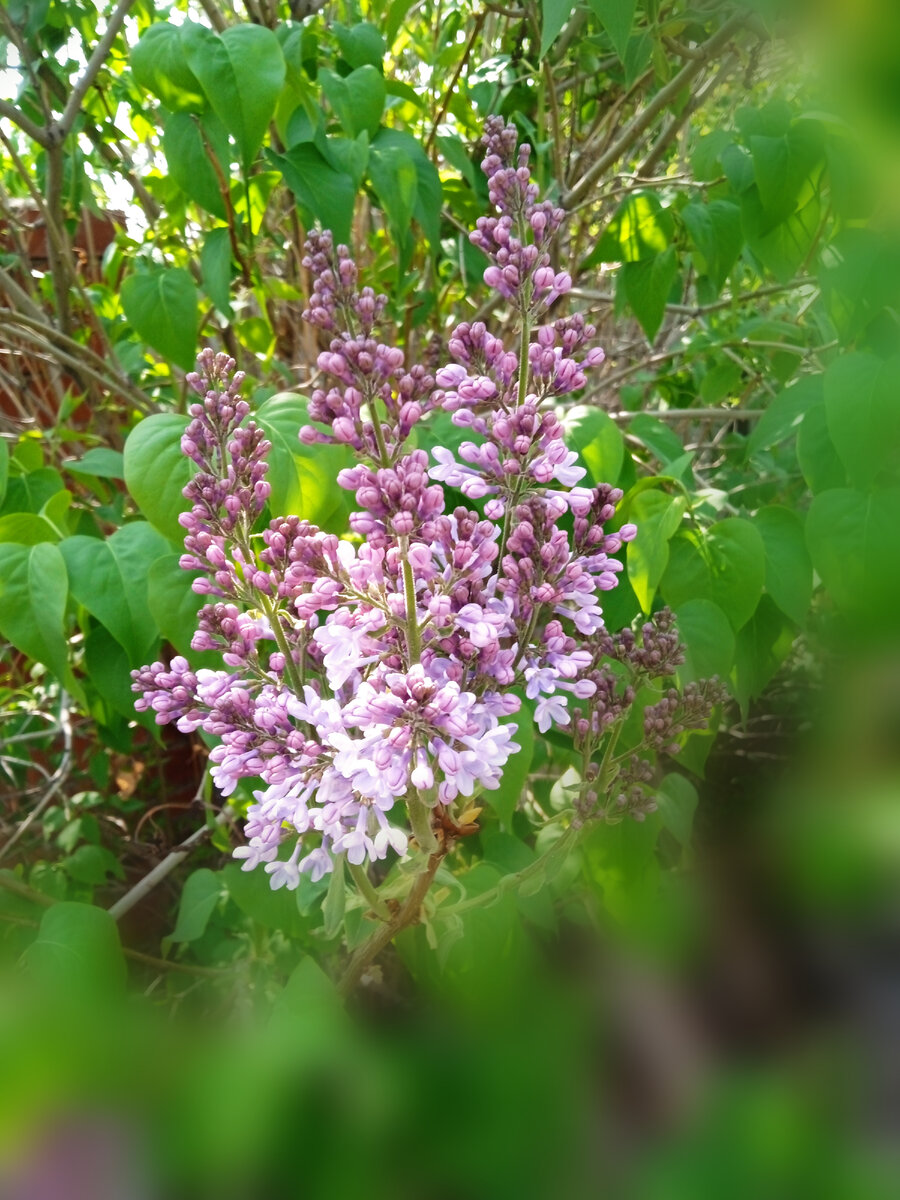 Ещё одна эстетика