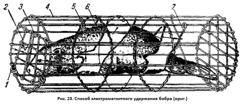 6 4 2 ручка бобра. Способ удержания бобра. Метод удержания бобра. Способ удержания бобра Мем. Способ удержания бобра польский.