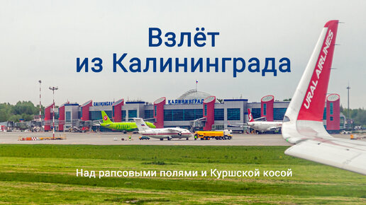 Москва калининград какой аэропорт в москве