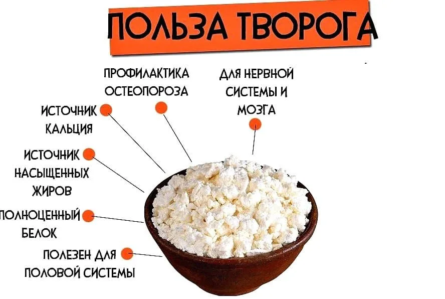 Сколько калорий творог со сметаной и сахаром. Польза творога. Чем полезен творог. Что полезного в твороге. Творог полезно.