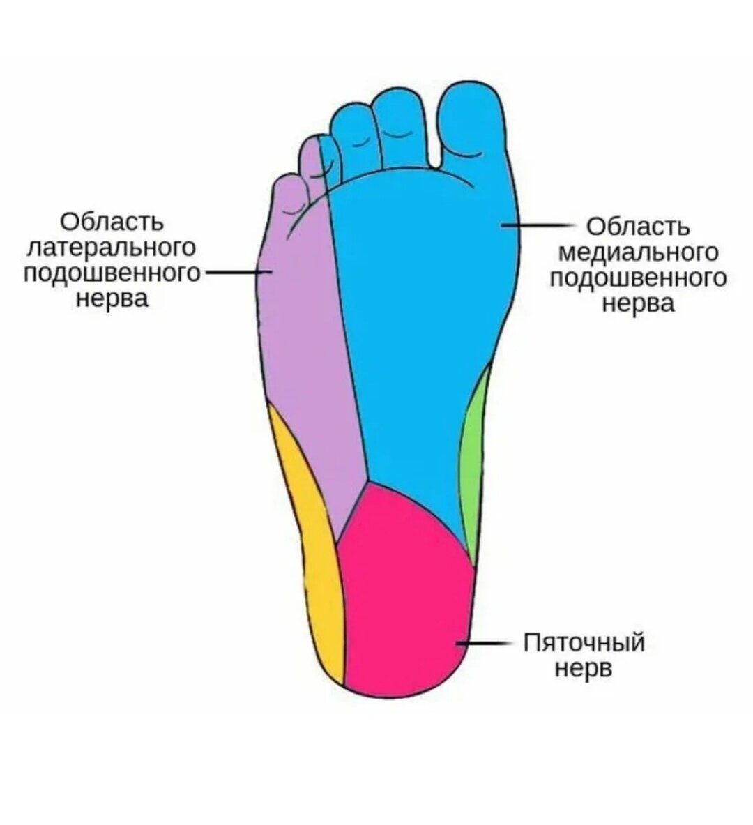 Почему затекают ноги, если долго сидеть на месте