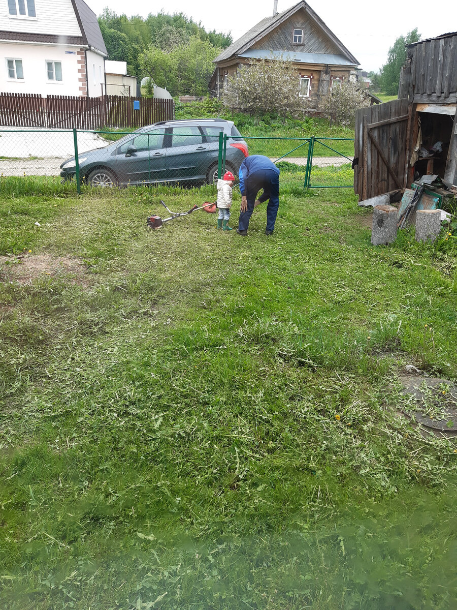 Идиллия, прям.