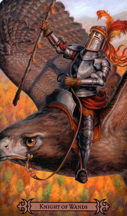 Рыцарь жезлов из пинтерест 