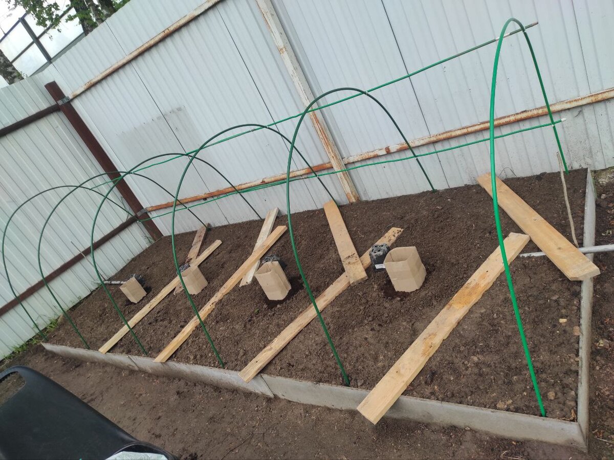 Грядка под виноград