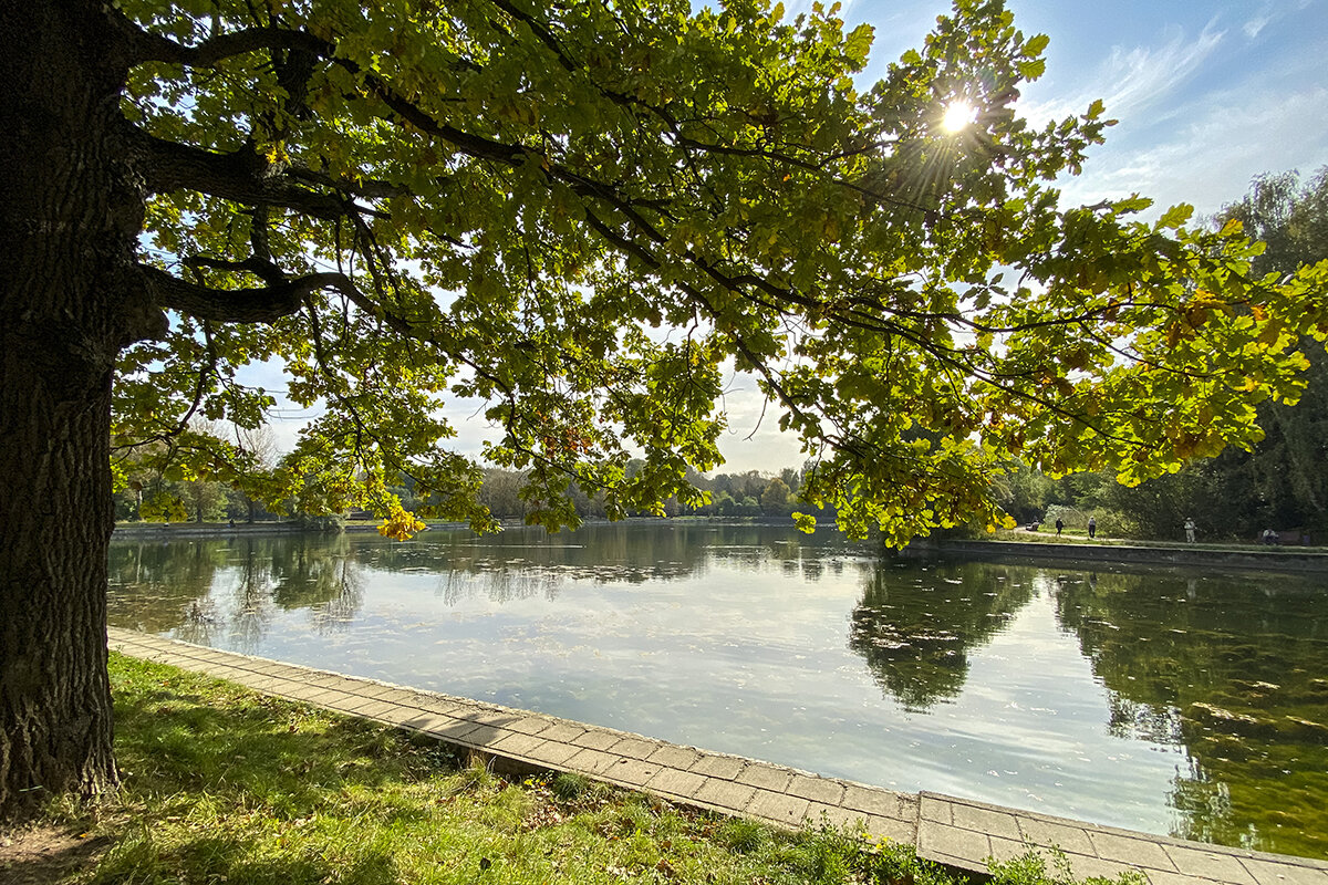 Терлецкий лесопарк. Фото: Про мой район
