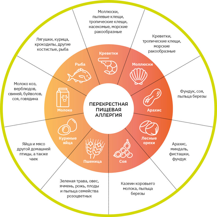 Рисунок 1. Наиболее распространенные варианты перекрестной аллергии