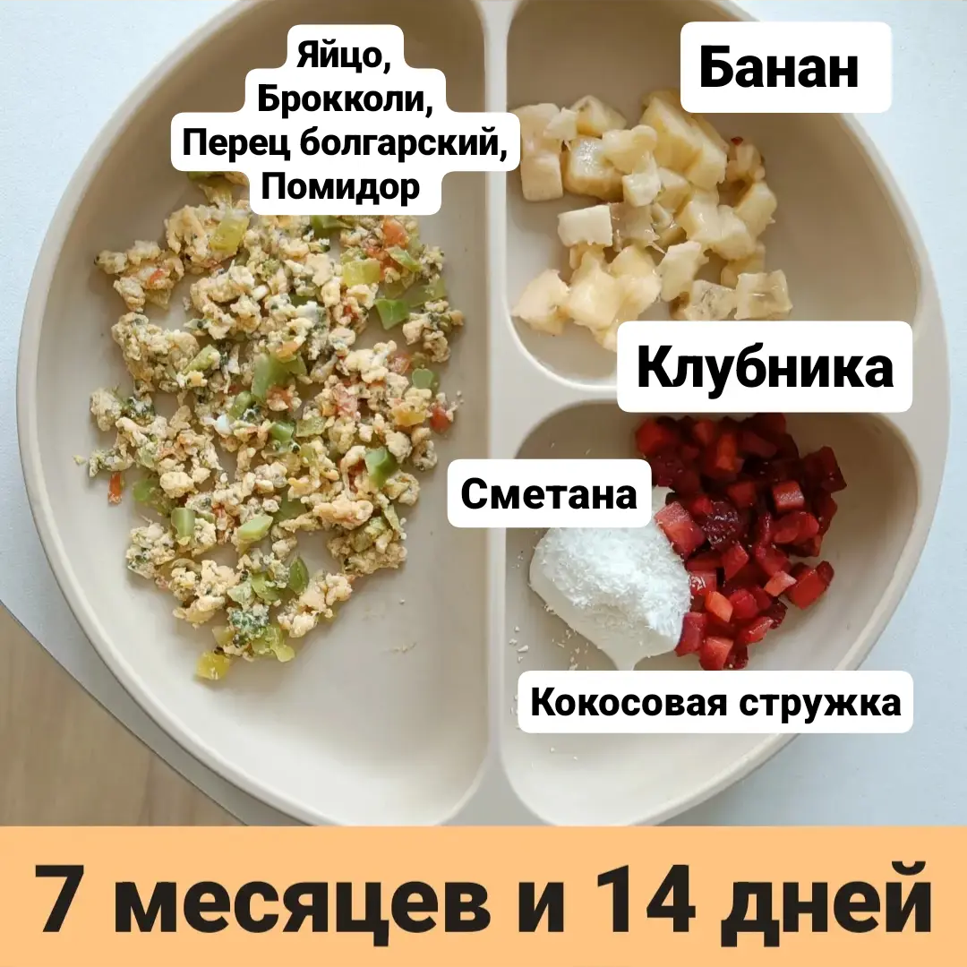 Пример тарелки в 7 месяцев 