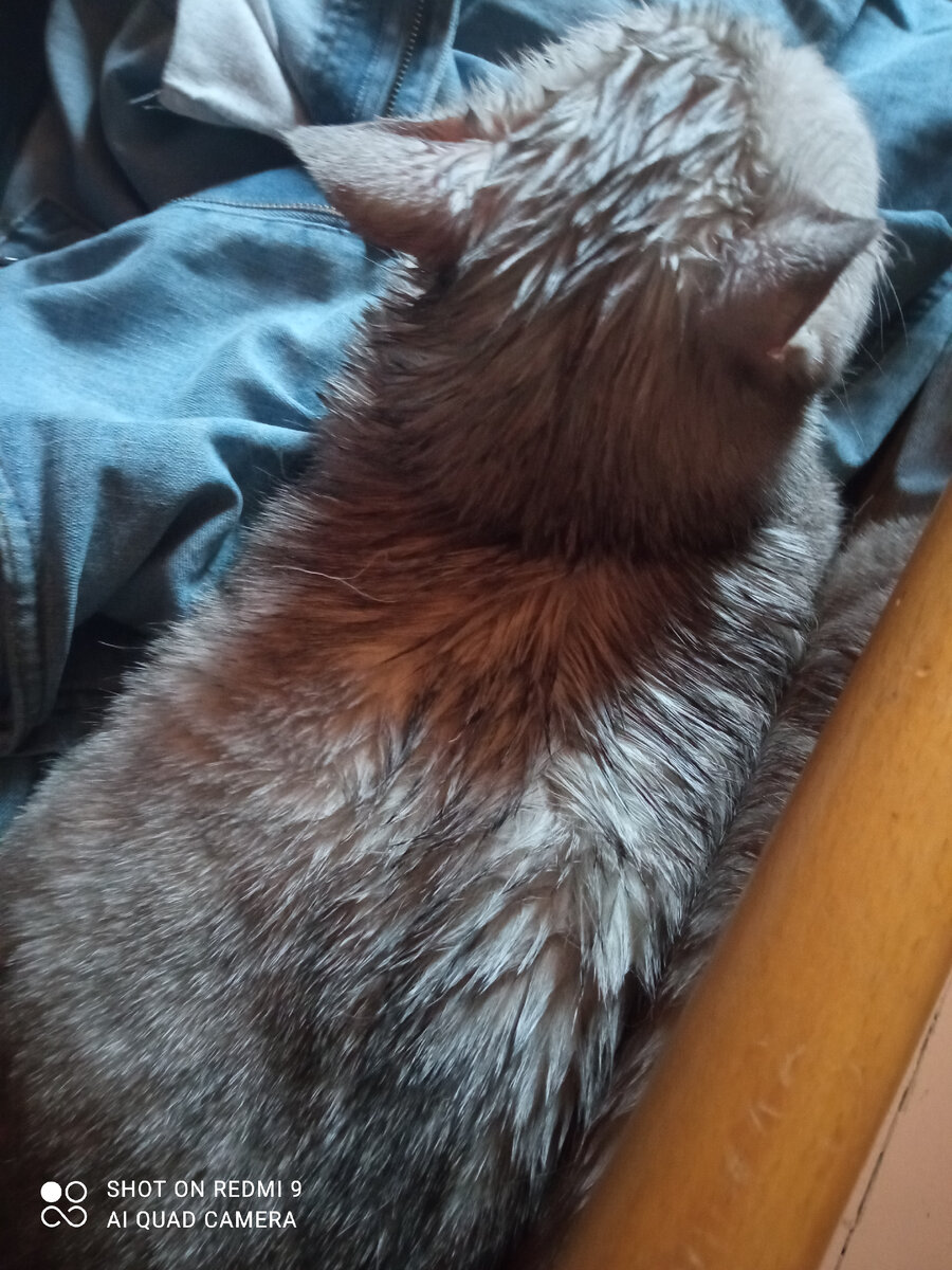 Фото после снятия клея. 