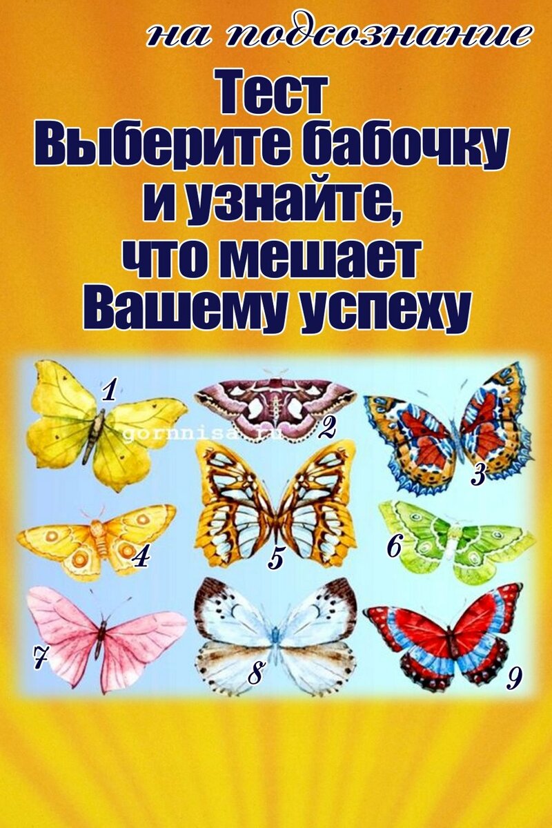    Тест — Выберите бабочку и узнайте, что мешает вашему успеху. Изображение лицензия от фотобанка depositphotos коллаж gornnisa.ru Pavlov A