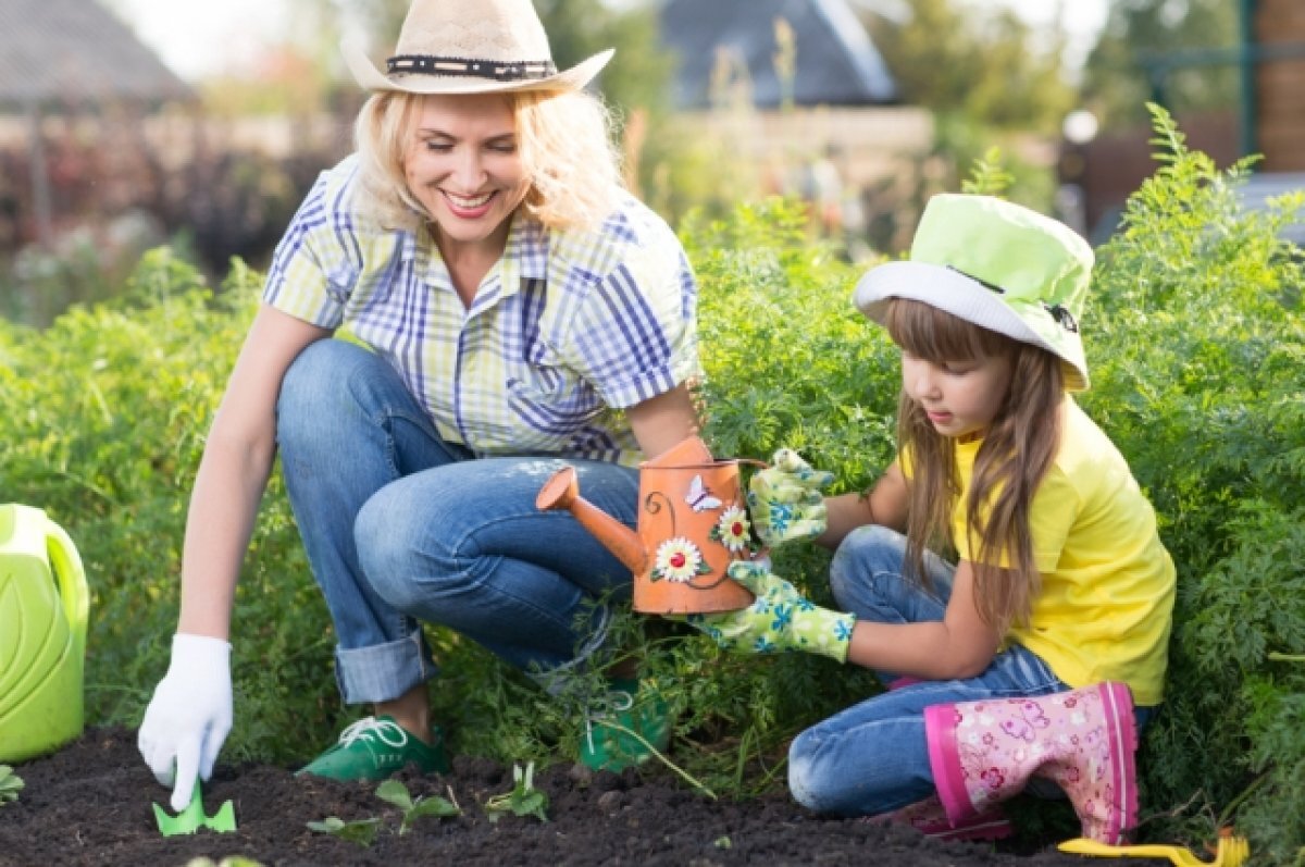    Дело ваших рук. Как привести их в порядок после работы на грядках