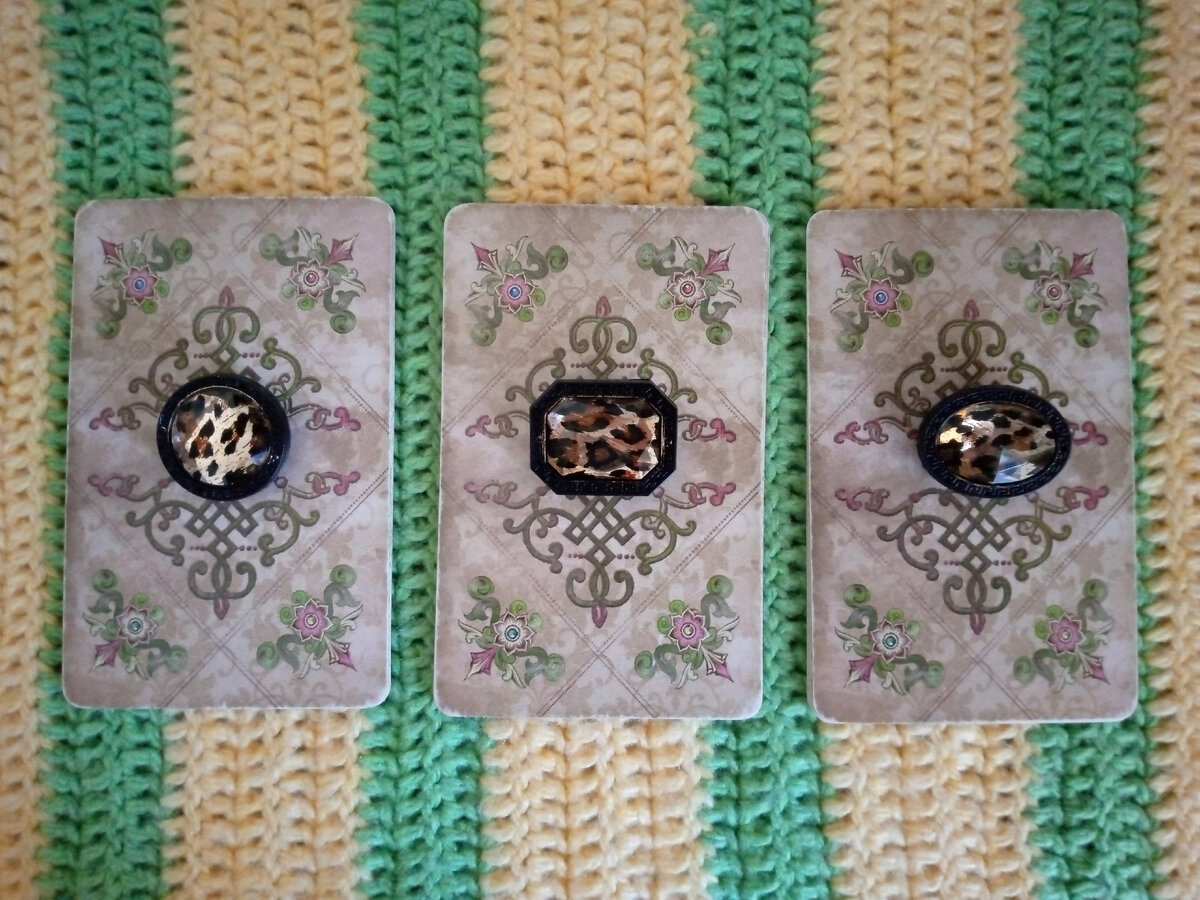 Варианты прогноза. Фото автора