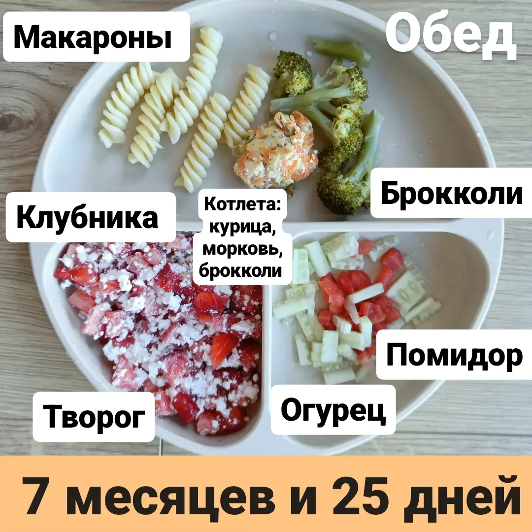 Пример тарелки в 7 месяцев 