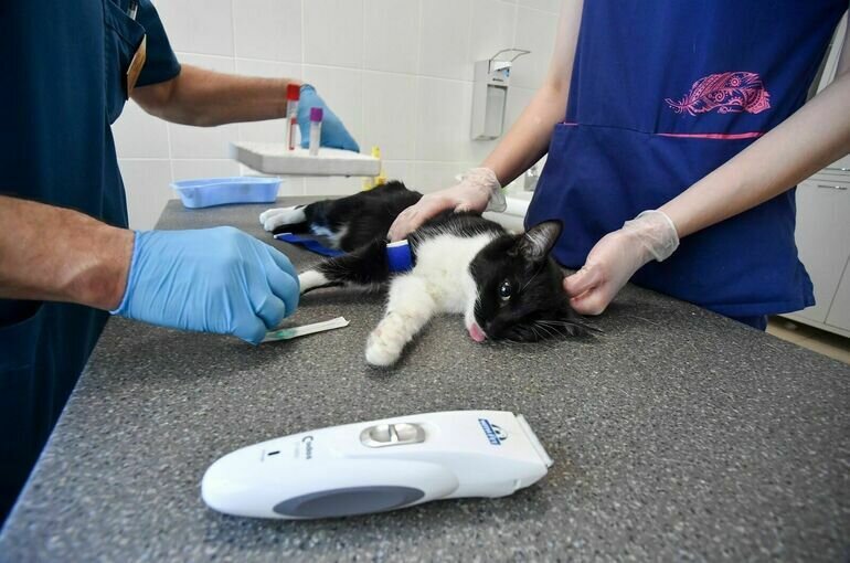   Сергей Киселев / АГН Москва