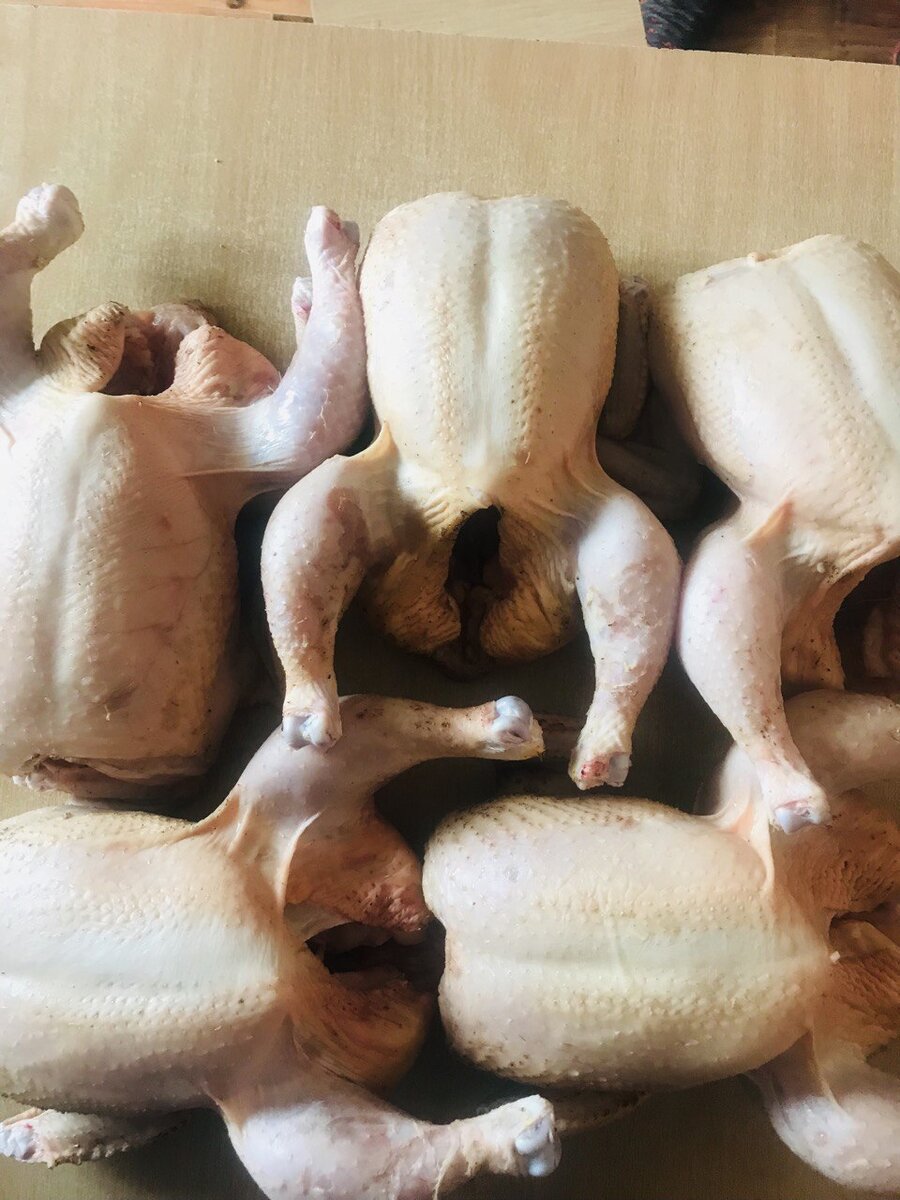 Вот такие получаются тушки